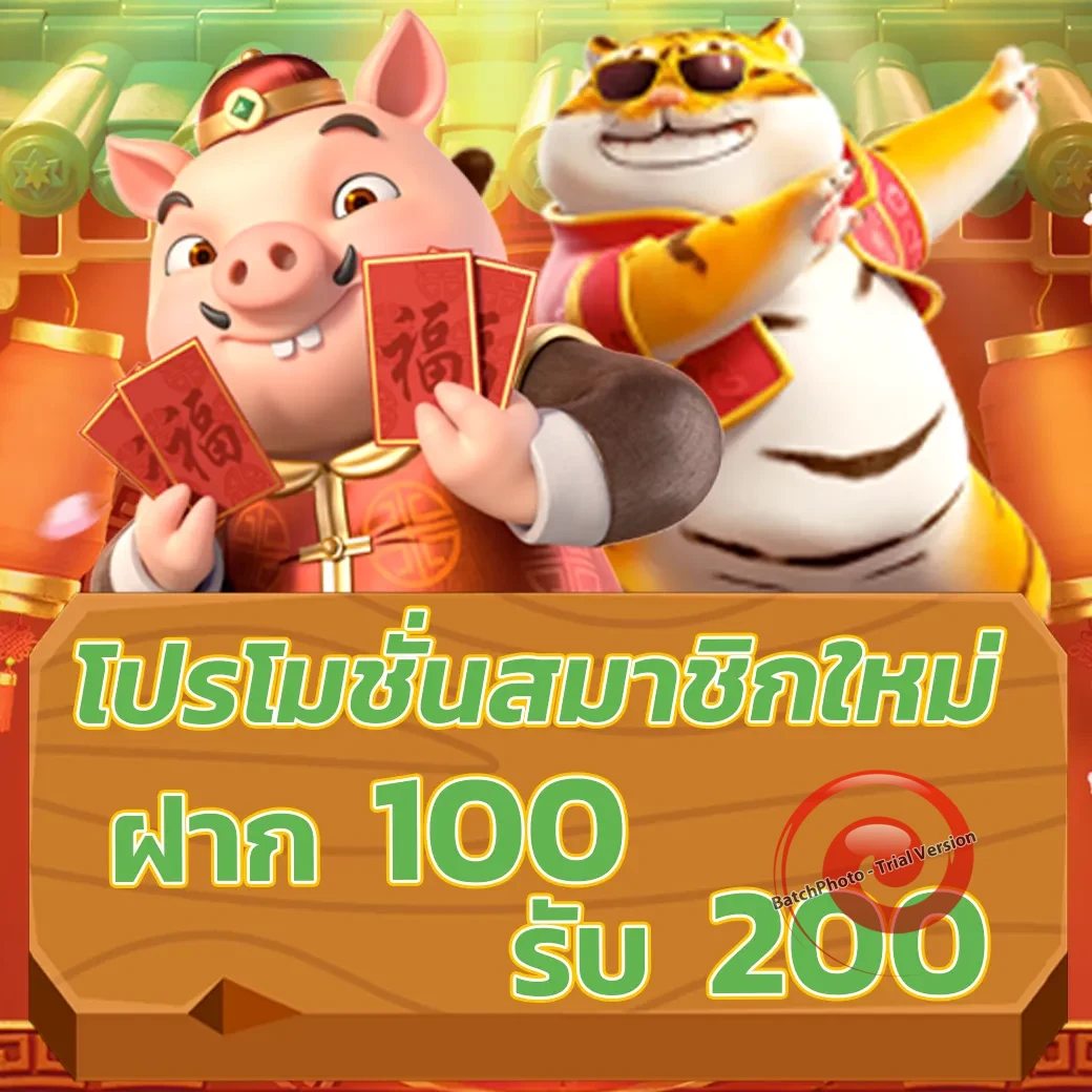 สล็อต 8282
